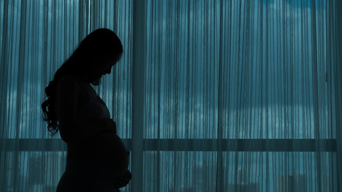 What protections does the law offer when a woman returns to work after maternity leave | Explained