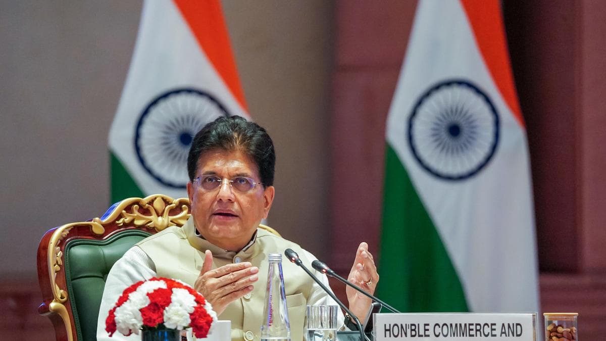 India-U.S. trade pact to be finalised once U.S. offers preferential rate: Goyal