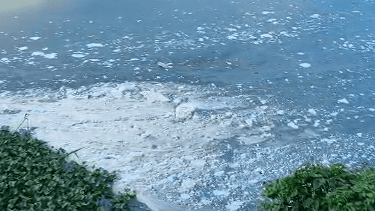 White froth found in Periyar: PCB issues notice to FACT