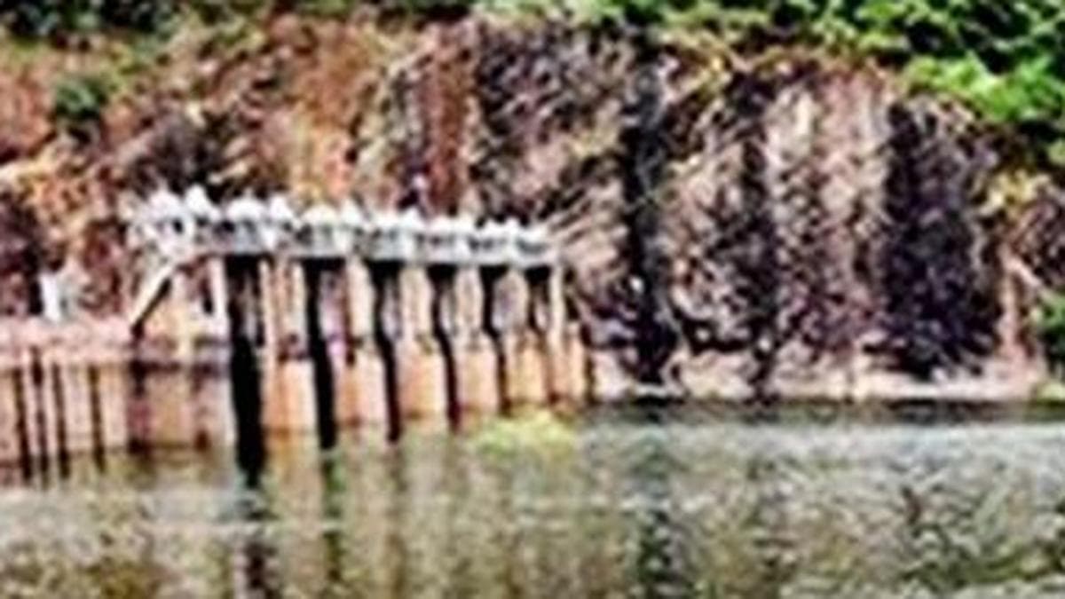 Water level in Papanasam Dam stands at 65.25 feet