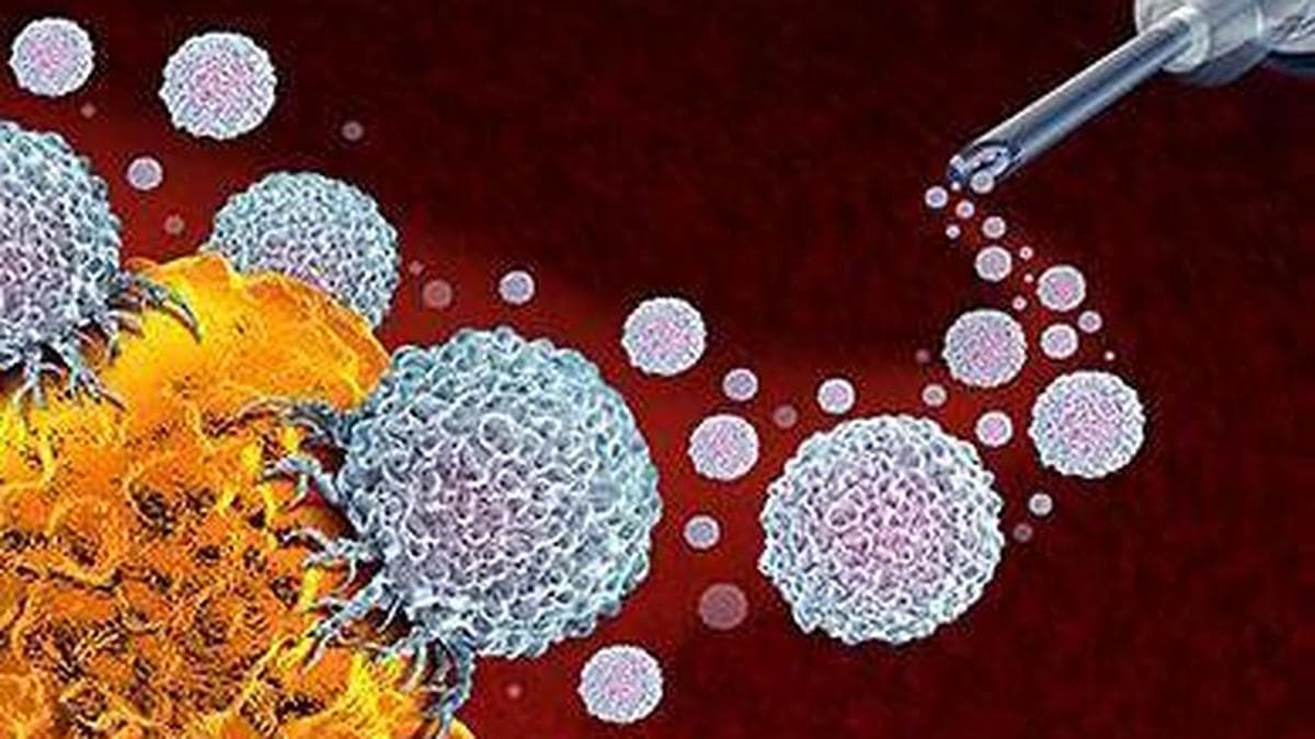 What are cancer ‘vaccines’ and will they revolutionise treatment? | In Focus podcast