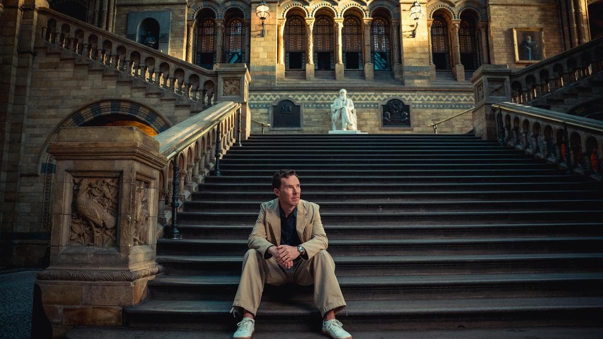 Benedict Cumberbatch interview: Why ‘How to Live on Earth’ left him ‘turbocharged’