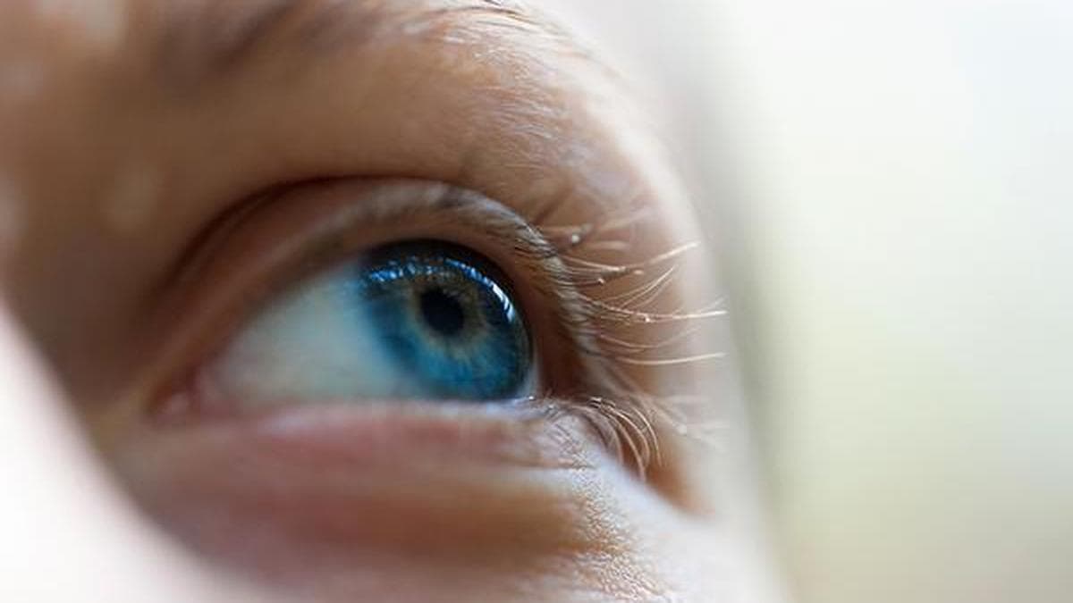 Why shortage of ‘young’ corneas is hampering corneal blindness prevention drive in Keralam