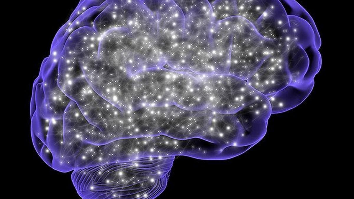 U.S. study tests psilocybin to fight cancer side effects