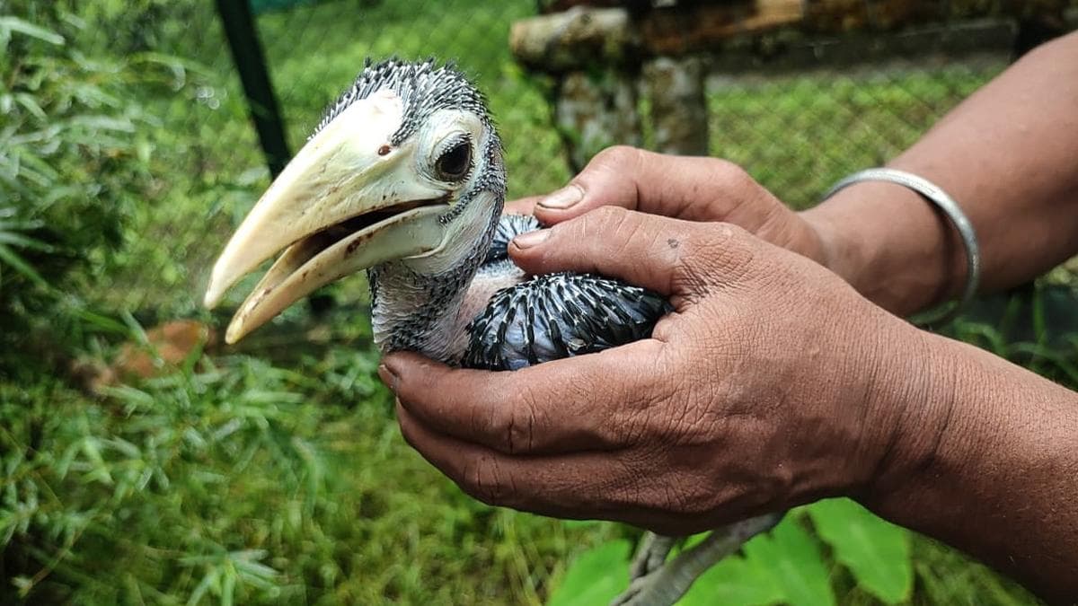 Assam’s CWRC marks 25 years of wildlife conservation