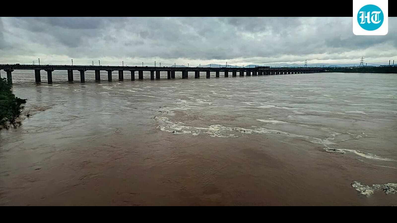 Andhra family jumps off bridge into Godavari, woman rescued, 3 missing: Police