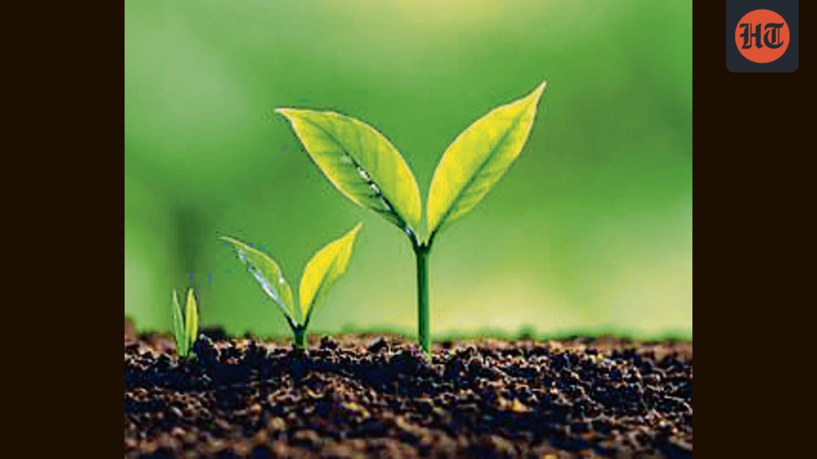 Mohali Sec-69 green parcel: GMADA told to protect biodiversity