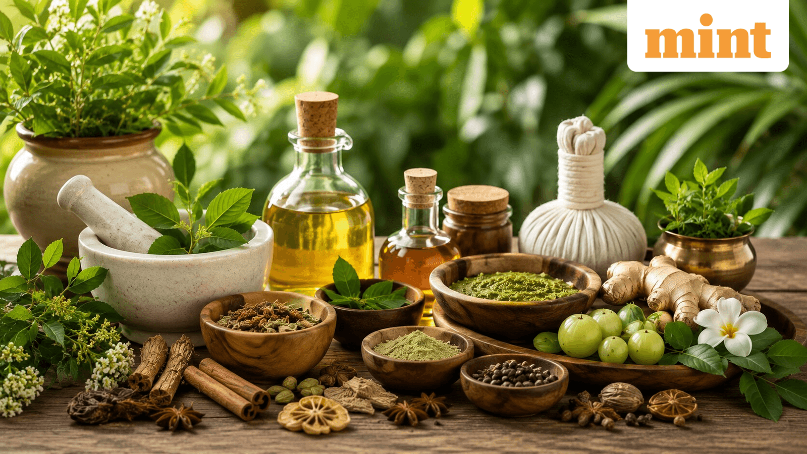 India’s trade deals don't guarantee overseas market access for Ayush—but here's what could help