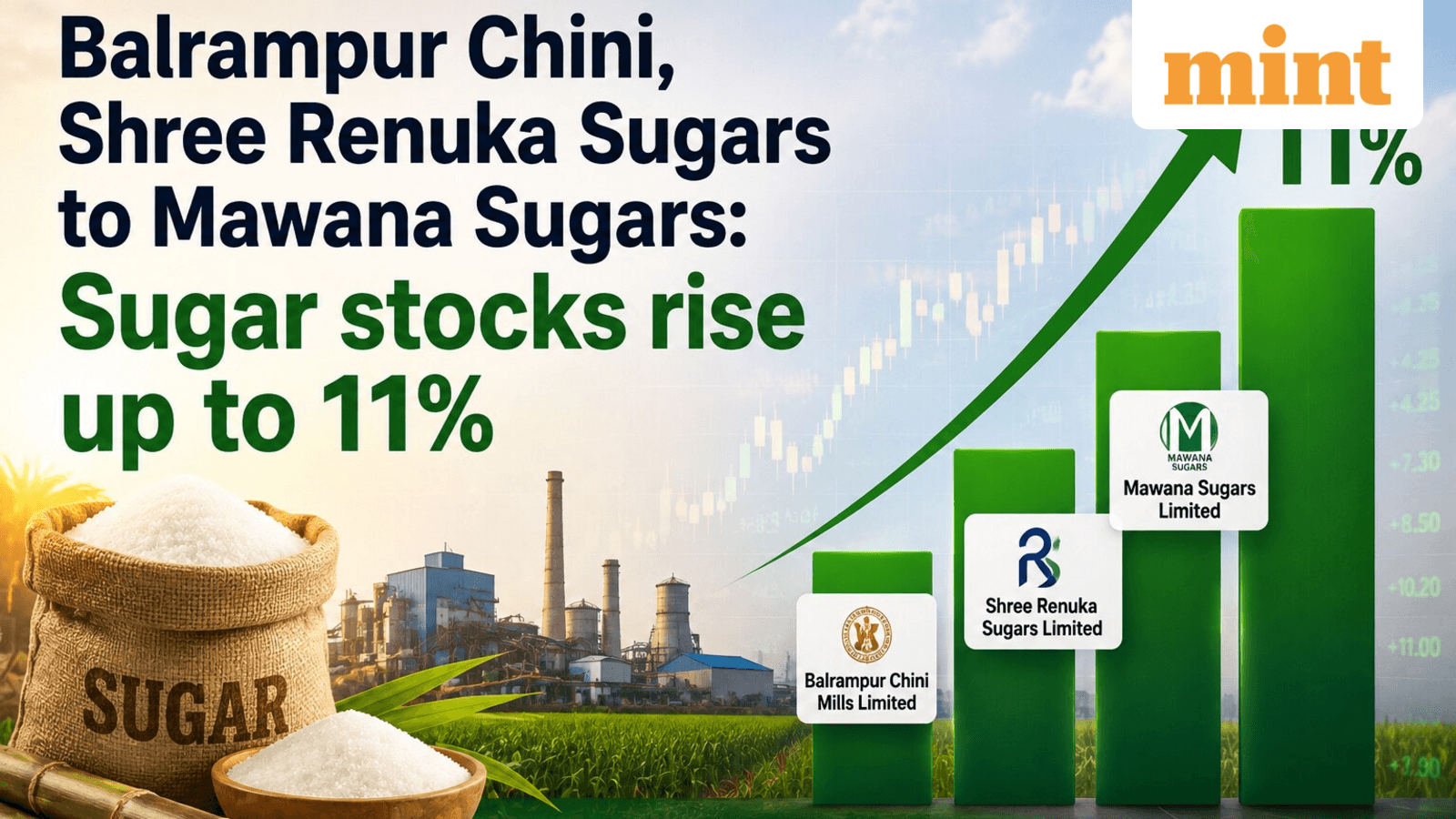 Balrampur Chini, Shree Renuka Sugars to Mawana Sugars: Sugar stocks rise up to 11%. Do you own any of these?