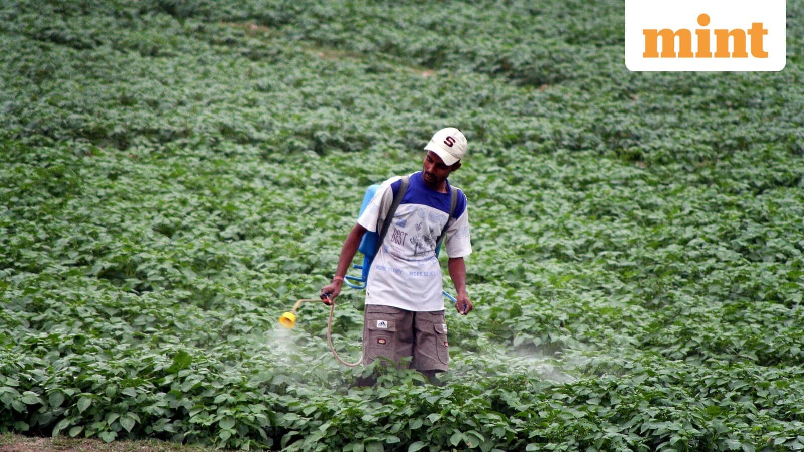 PI Industries bets on innovation-led growth as agrochem headwinds mount