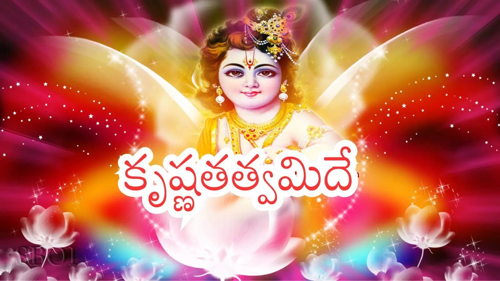 Srikrishnashatami : నేడు శ్రీకృష్ణ జన్మాష్టమి.. చేయ కూడని పనులివే